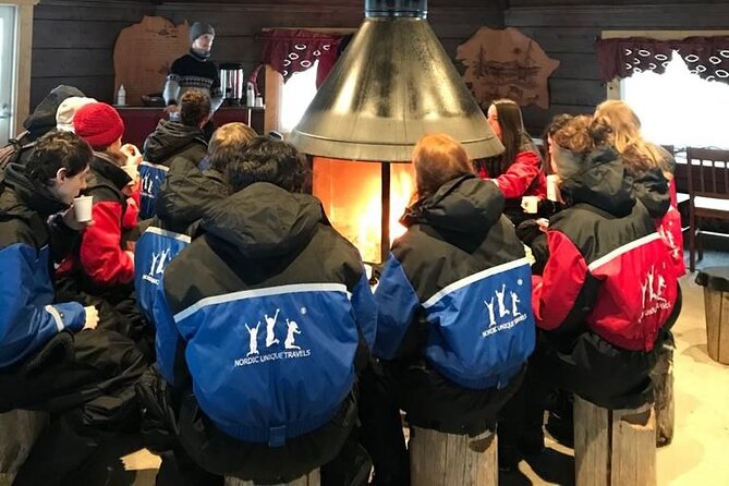 Snowmobile & Animals Day Tour - The reindeer sleigh and a slower view of Lapland
