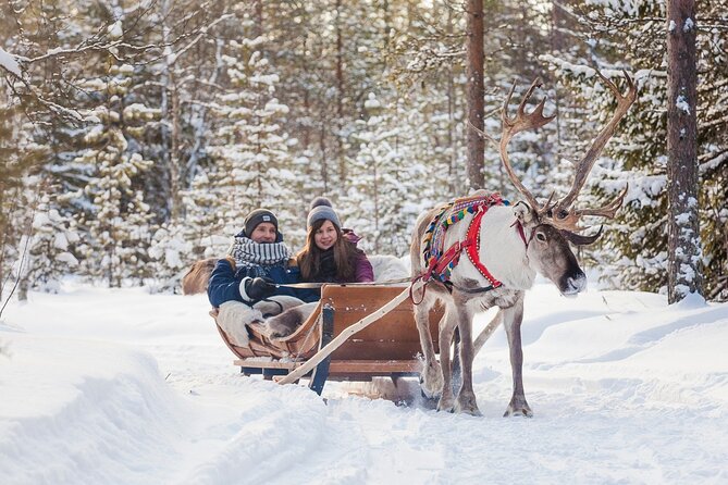 Snowmobile & Animals Day Tour - The snowmobile safari is the highlight