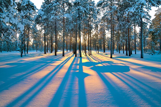 Snowmobile Safari 2h - Who will enjoy this safari most?