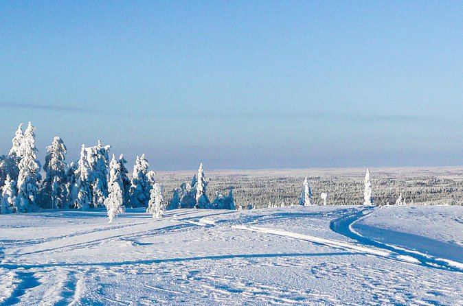 Snowmobile Safari in the Forest - What the seven-hour schedule really means