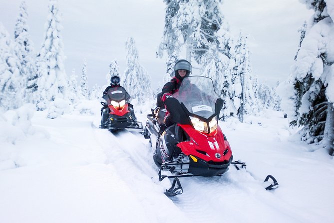 Snowmobile Safari in the Forest - Small group service and guide support