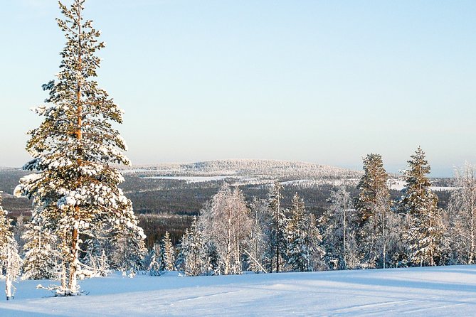 Snowmobile Safari in the Forest - Forests, swamps, lakes, and river crossings