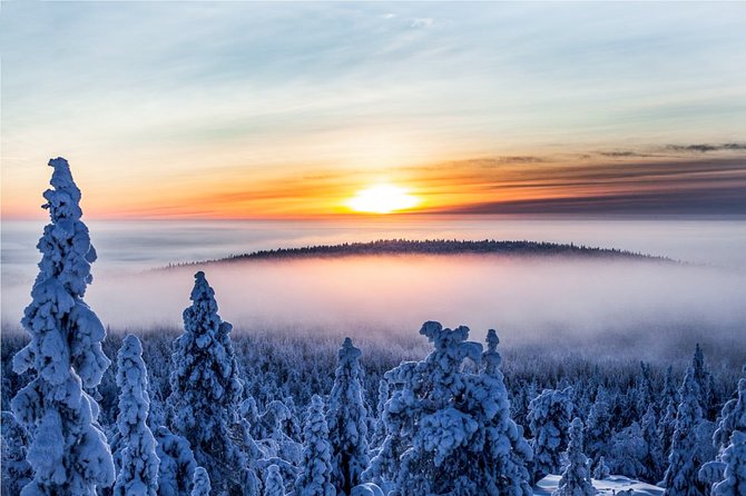Snowmobile Safari in the Nature - Forest trails, frozen lakes, and open Finnish scenery