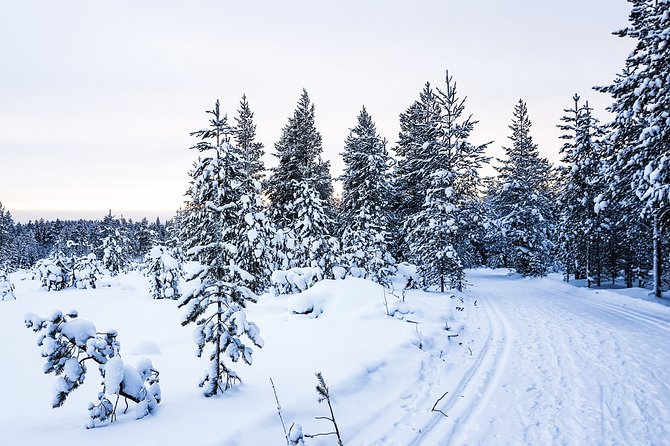 Snowmobile Safari in the Nature - The group size and guide-led pace