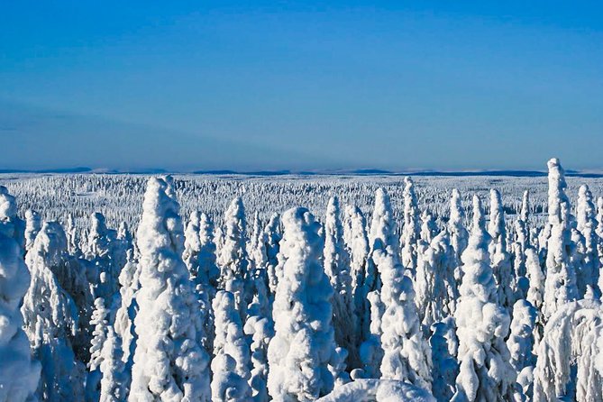 Snowmobile Safari in the Nature - Is $183.72 a fair price?