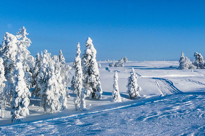 Snowmobile Safari in the Nature - Morning start - Warm drinks and a possible tipi lunch