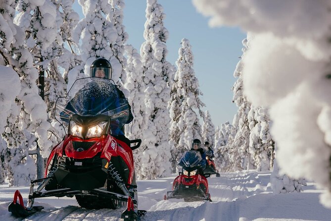 Snowmobile Safari into the Arctic Circle Forest - Quick facts about the Arctic Circle ride