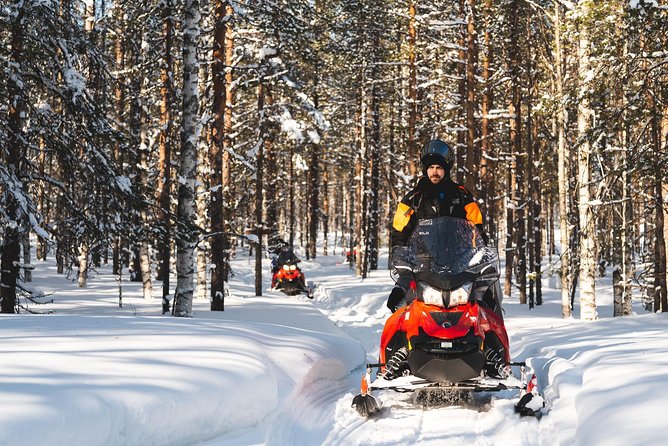 Snowmobile Safari into the Arctic Circle Forest - Learning to handle the snowmobile