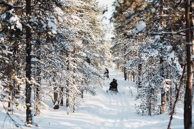 Snowmobile Safari into the Arctic Circle Forest - Into the Arctic Circle forest