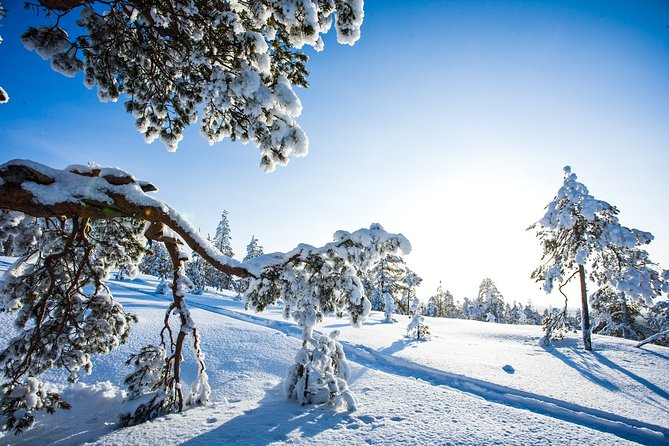 Snowmobile Safari on the Tundra - How much value do you get for $179.01?