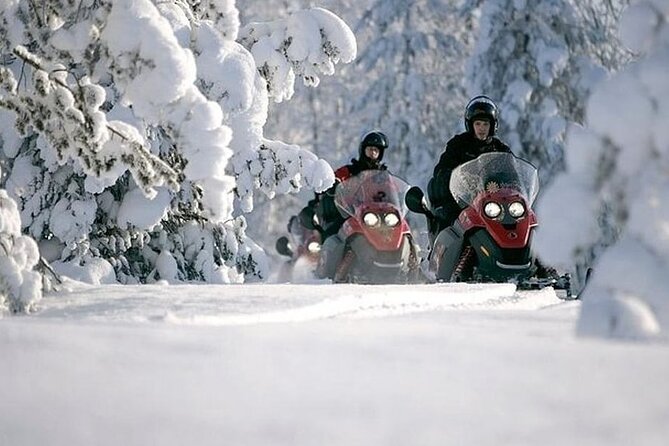 Snowmobile Safari through Lappish Forest from Rovaniemi - What This Rovaniemi Snowmobile Safari Really Offers