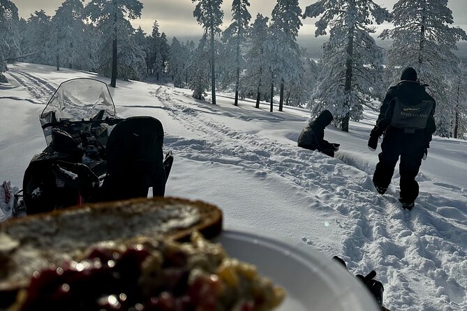 Snowmobile Safari to the Wilderness - Key points to know before you book
