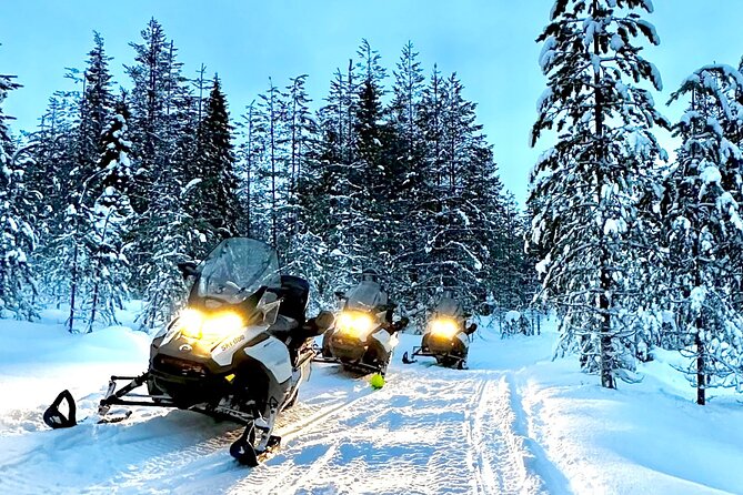 Snowmobile Safari to the Wilderness - Leaving Rovaniemi at 10:00 in the morning