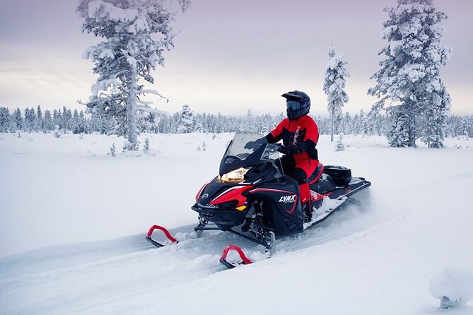 Snowmobile Tour with Small Group in Remote Wilderness 3 Hours - Safety Training Before the Throttle