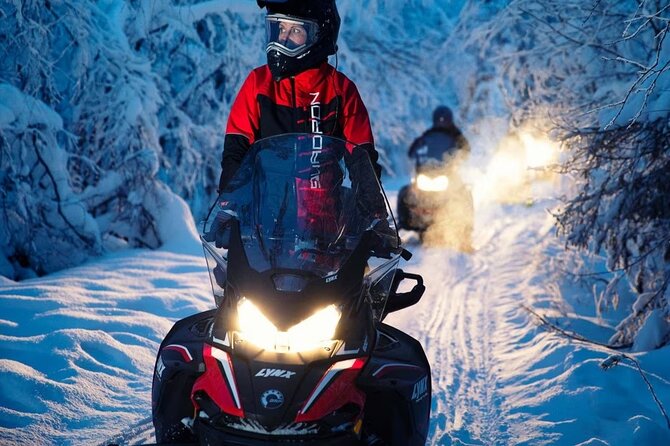 Snowmobile Tour with Small Group in Remote Wilderness 3 Hours - Stops for Photos, Snacks, and Warmth