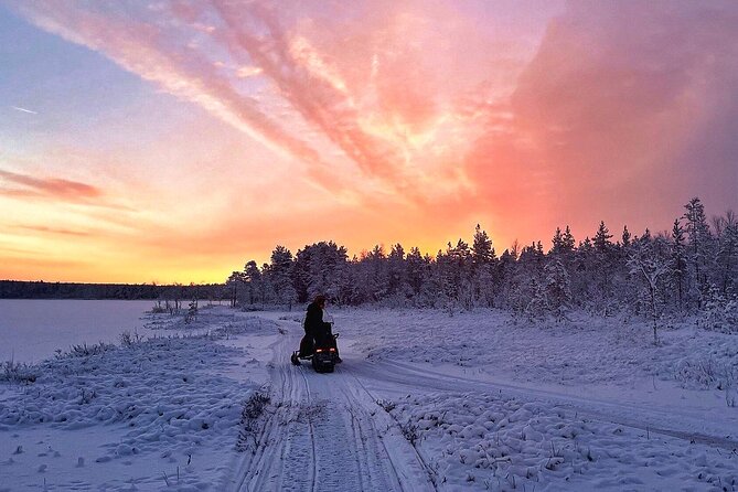 Snowmobile Tour with Small Group in Remote Wilderness 3 Hours - What Children Do During the Ride