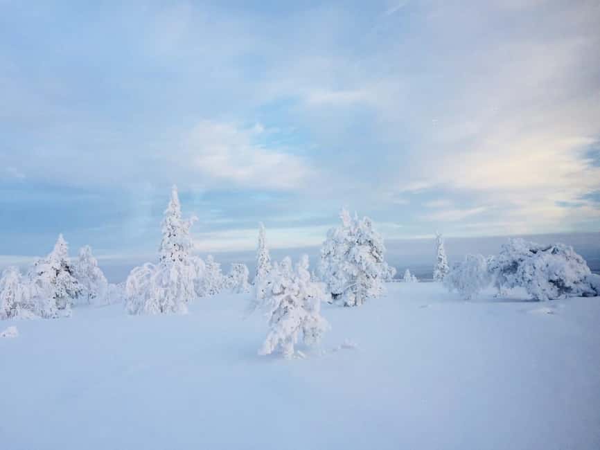 Snowshoe experience with traditional beverages in Lapland - Key points before you book