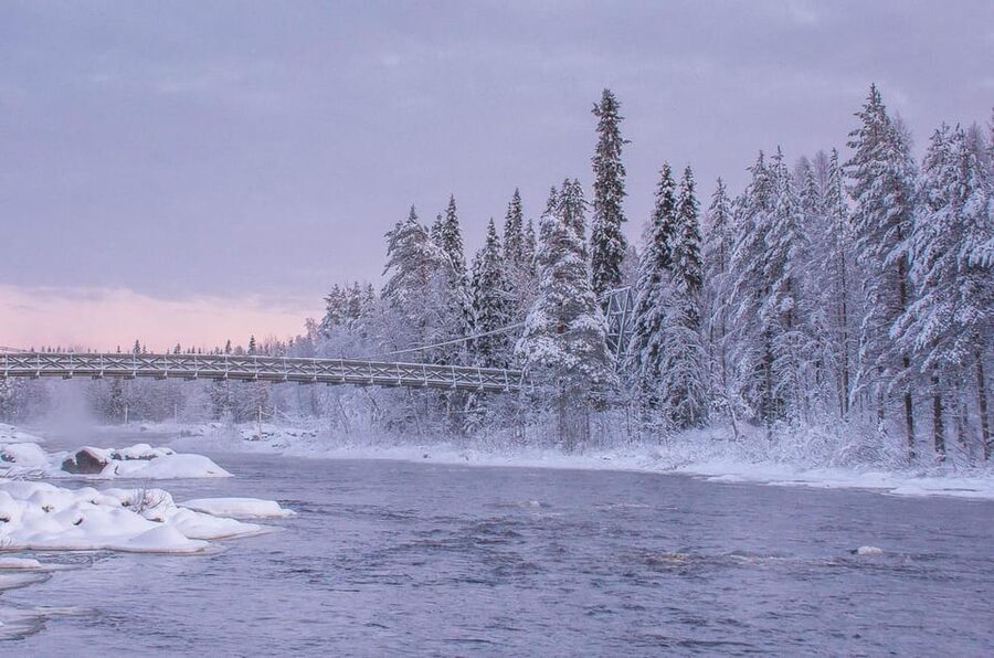 Snowshoe experience with traditional beverages in Lapland - Forest quiet or open lake views