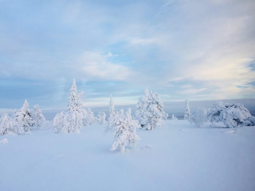 Snowshoe experience with traditional beverages in Lapland - The open fire and Lapland picnic