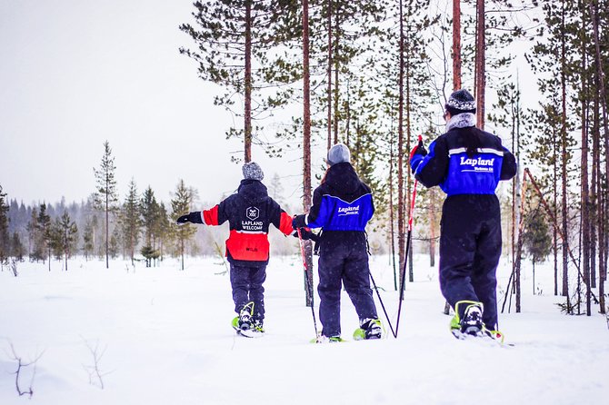 Snowshoe Trip in the Forest - Key points to know before you book