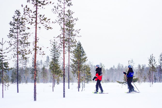 Snowshoe Trip in the Forest - Why snowshoeing works well in Rovaniemi