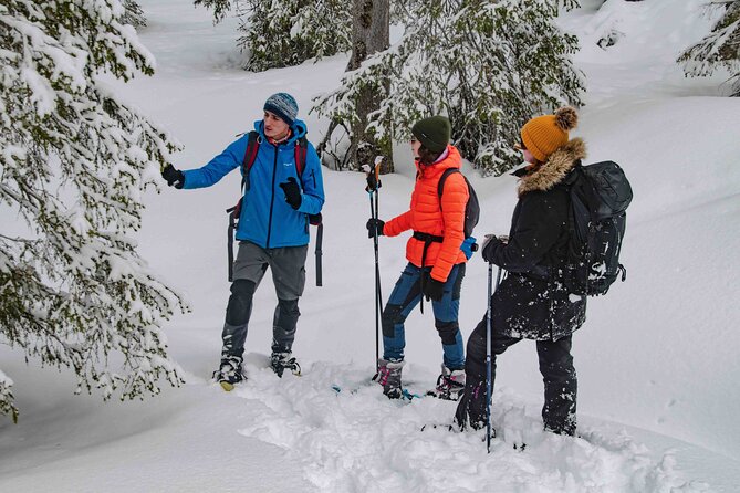 Snowshoeing Adventure with Ice-Fishing, Fire and Survival - Group Size, Pace and Practical Comfort