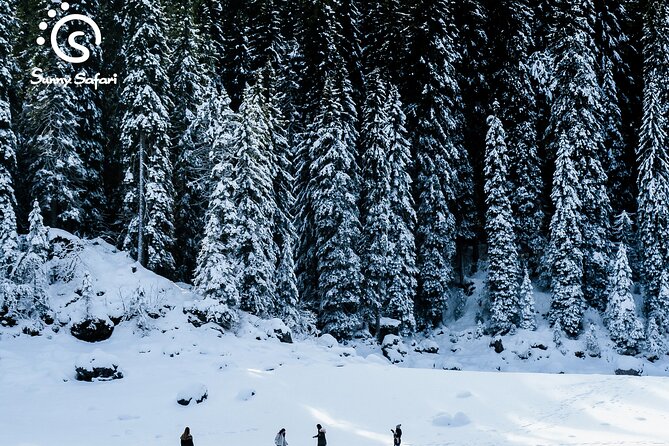 Snowshoeing in Lapland Wilderness - Value of the Listed Price and Short Format