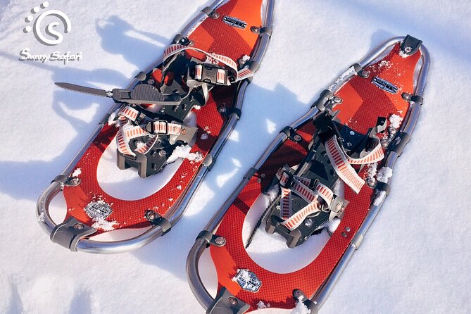 Snowshoeing in Lapland Wilderness - Who Will Enjoy This Most