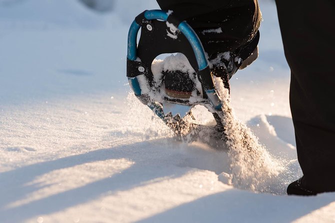 Snowshoeing in the Arctic Circle Wilderness - Leaving Rovaniemi for the Arctic Circle Wilderness
