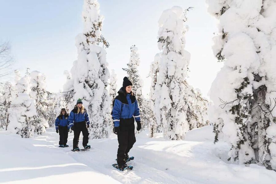 Snowshoeing in the Arctic Wilderness - Key points before you book