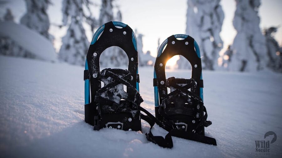 Snowshoeing in the Arctic Wilderness - How difficult is snowshoeing here?