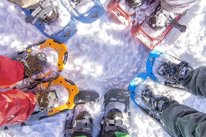 Snowshoeing tour with Wild Lunch - Leaving Rovaniemi for a Quiet Forest