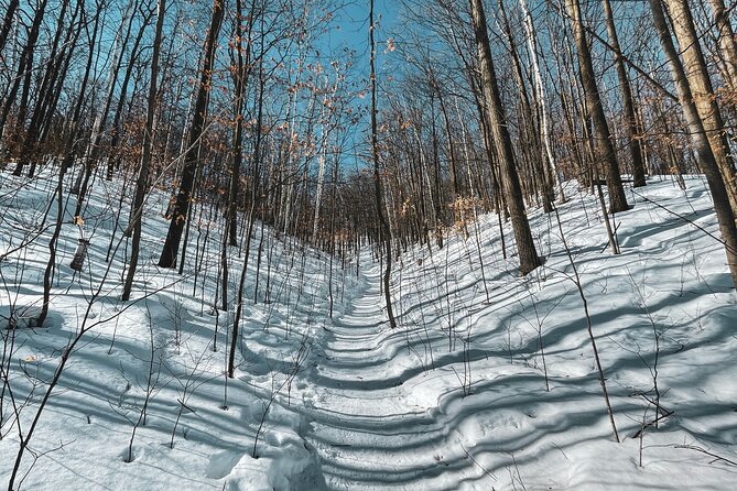 Snowshoeing tour with Wild Lunch - Timing, Group Size, and Overall Value