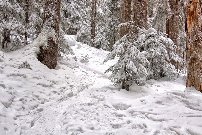 Snowshoeing tour with Wild Lunch - Weather, Clothing, and Cancellation Rules