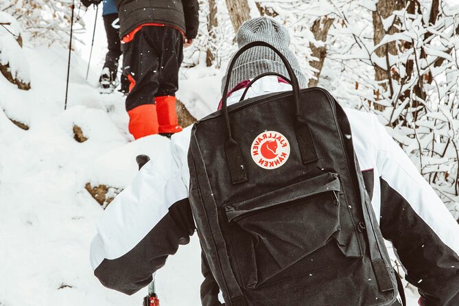 Snowshoeing tour with Wild Lunch - Who Will Enjoy This Snowshoeing Outing?