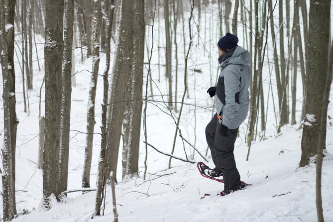 Snowshoeing tour with Wild Lunch - Should You Book the Wild Lunch Tour?