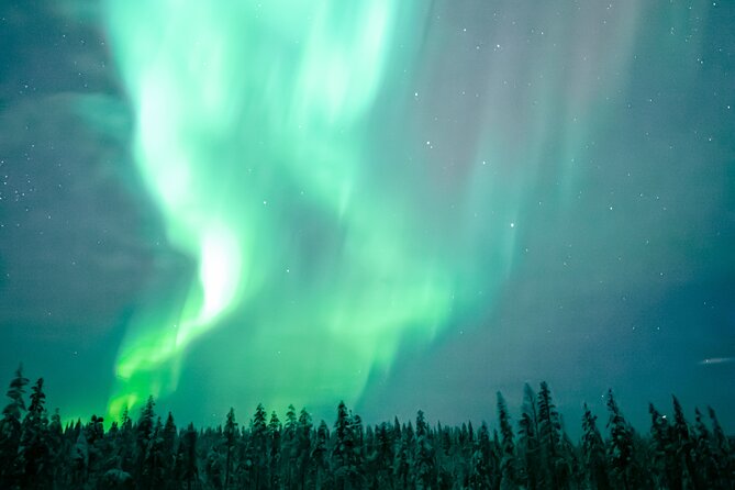 The Ultimate Guaranteed Aurora Hunt - Snacks, hot drinks, and the problem of staying warm