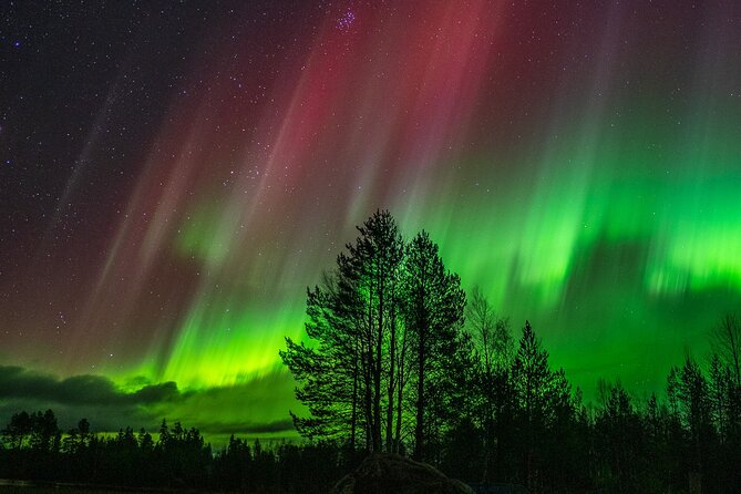 The Ultimate Guaranteed Aurora Hunt - How to make the evening run better
