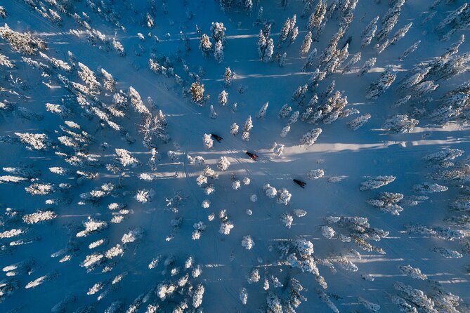 Thrill of Snowmobiling for Adults Only - Riding Across the Snowy Lapland Countryside