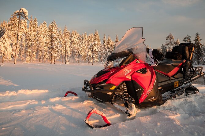 Thrill of Snowmobiling for Adults Only - The Cost: Is $215.05 a Fair Price?