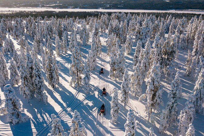 Thrill of Snowmobiling for Adults Only - Who Will Enjoy This Most?