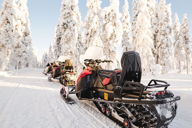 Thrill of Snowmobiling for Adults Only - Practical Details That Can Make or Break the Day