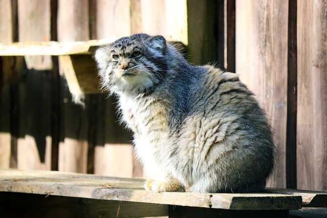 Trip to Ranua Wildlife Park - How the guides shape the day
