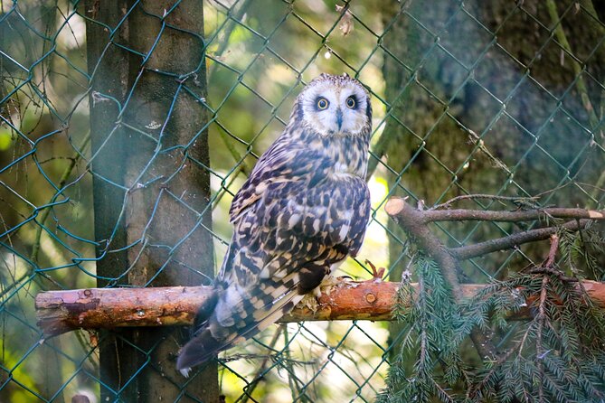 Trip to Ranua Wildlife Park - Winter clothing and comfort