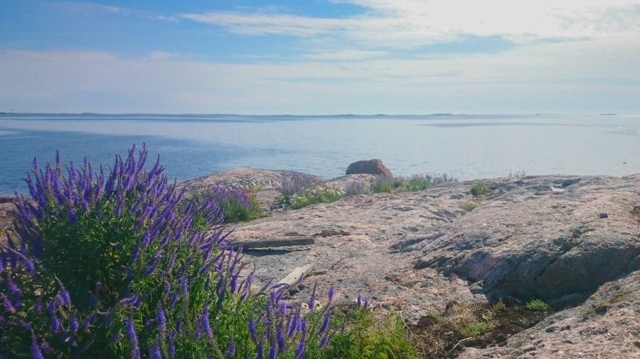 Turku Archipelago: Sea Kayaking Day Tour - Learning the basics before open water