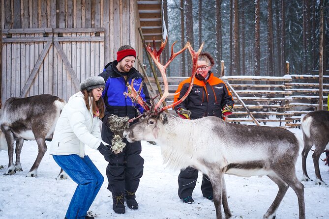 Two Full Days in Lapland - Clothing, Transport, Group Size, and the $902 Question
