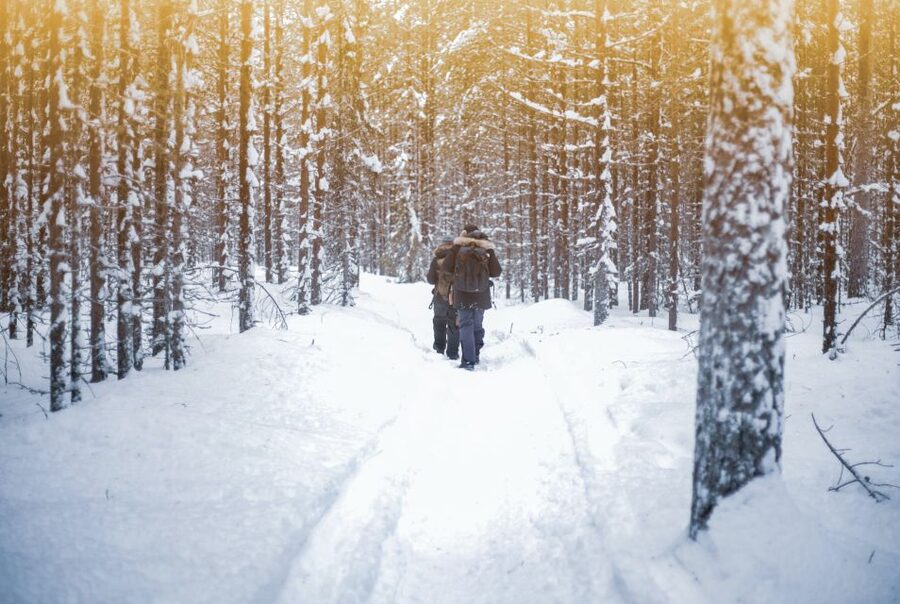 Vikakongas Hike: Nature and Silence - Key points at a glance