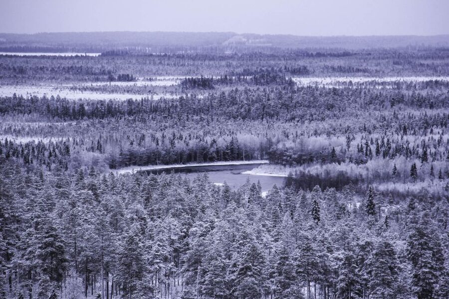 Vikakongas Hike: Nature and Silence - What the Vikakongas Hike is really about