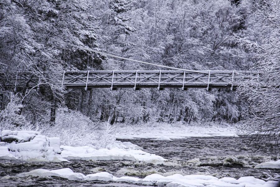 Vikakongas Hike: Nature and Silence - How much value do you get for $141?