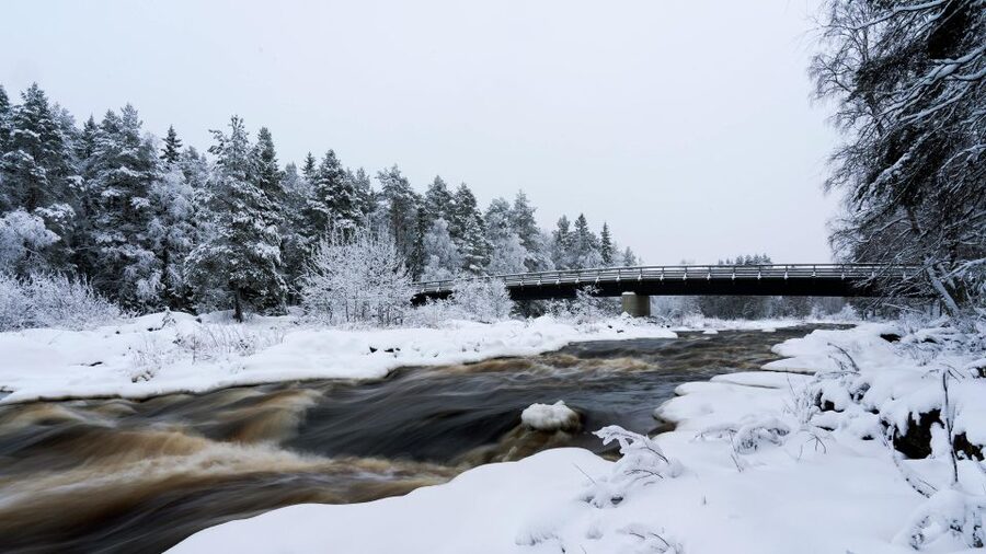 Vikakongas Hike: Nature and Silence - Leaving Rovaniemi for the river